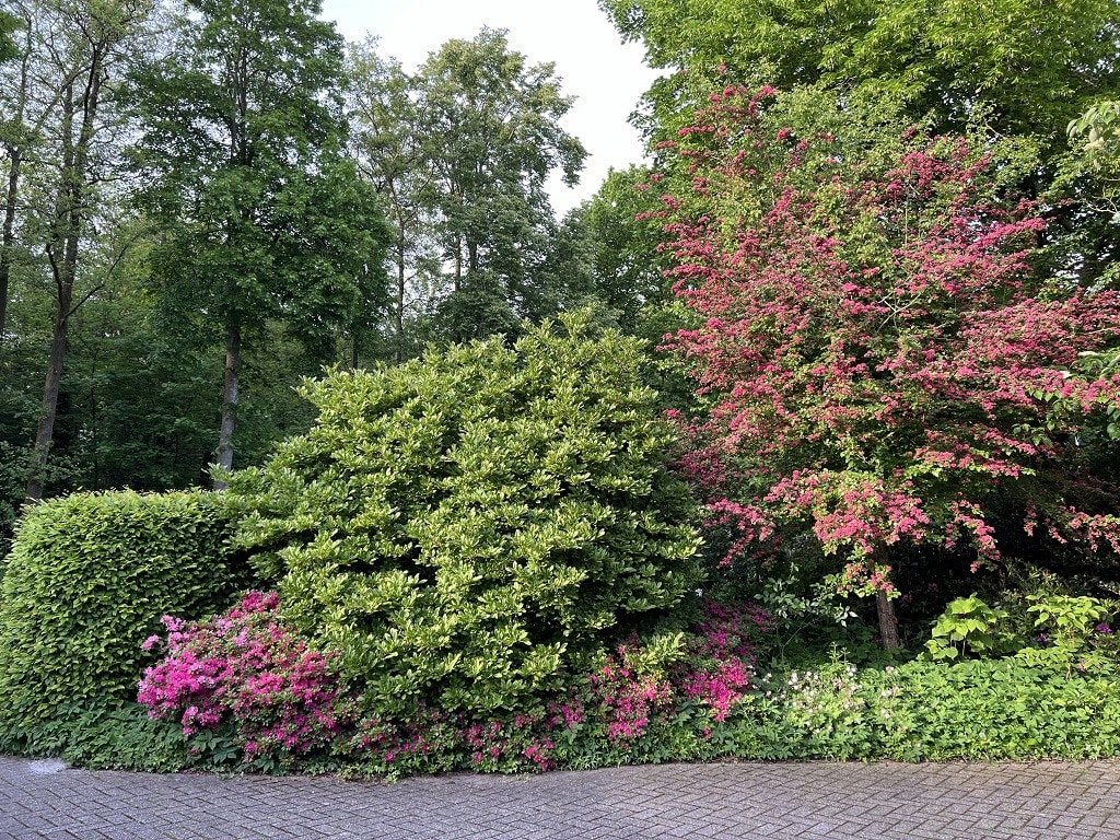 Vorgarten