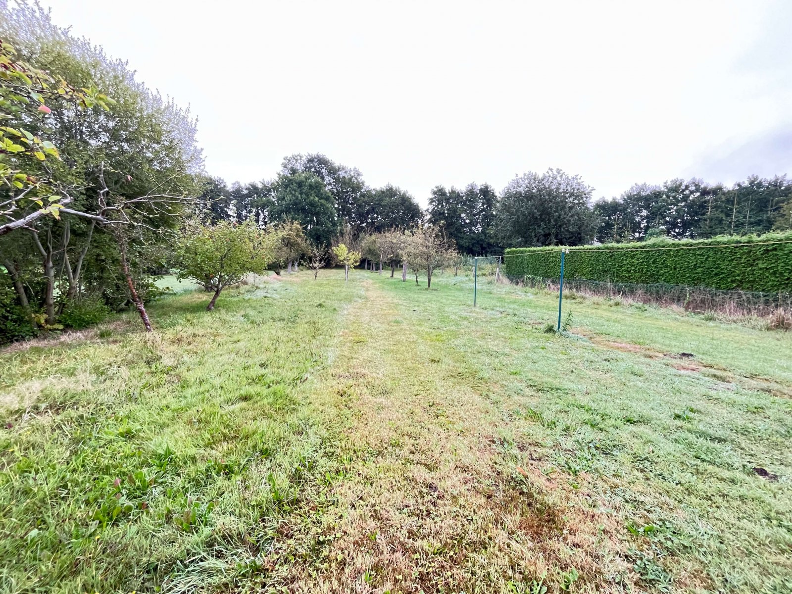 2300 m² Grundstück