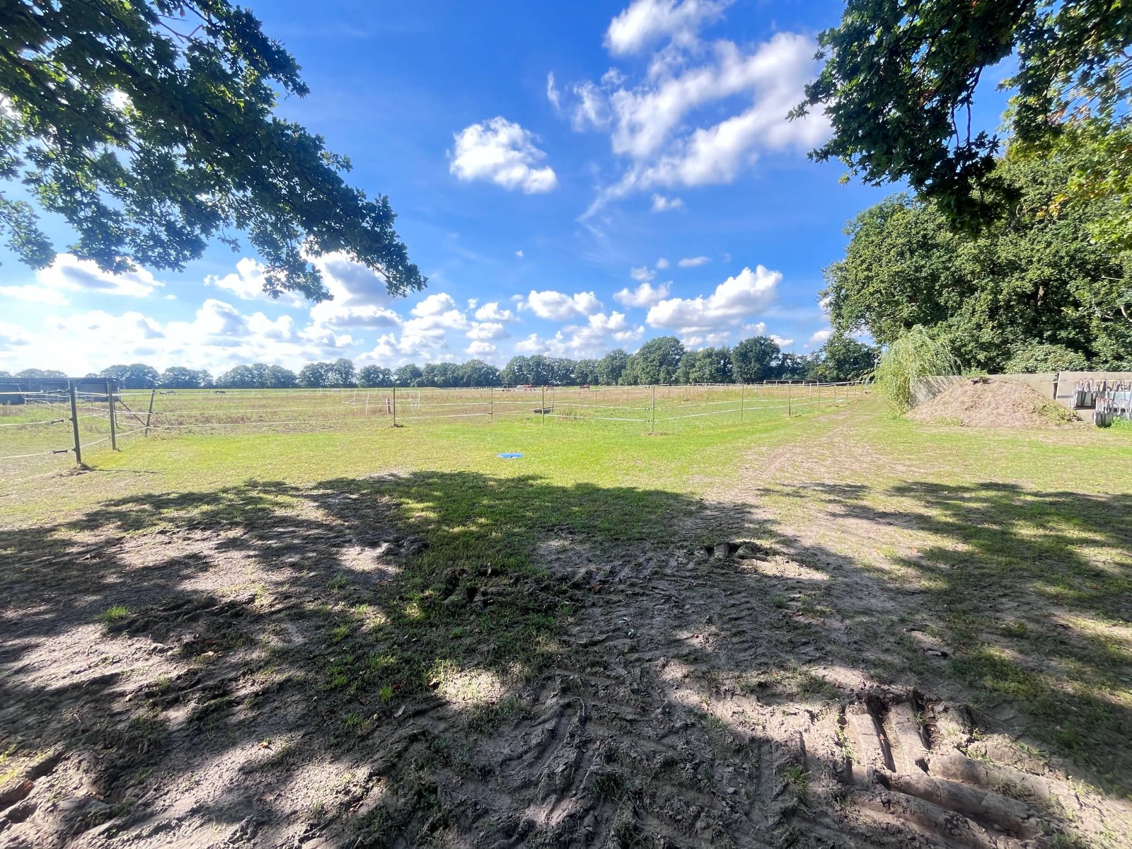 Blick ins Grüne