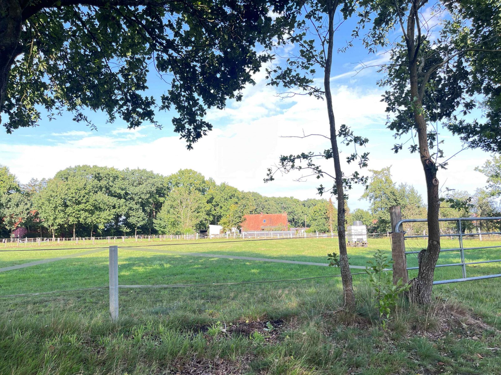 Großes Grundstück 6479 m²