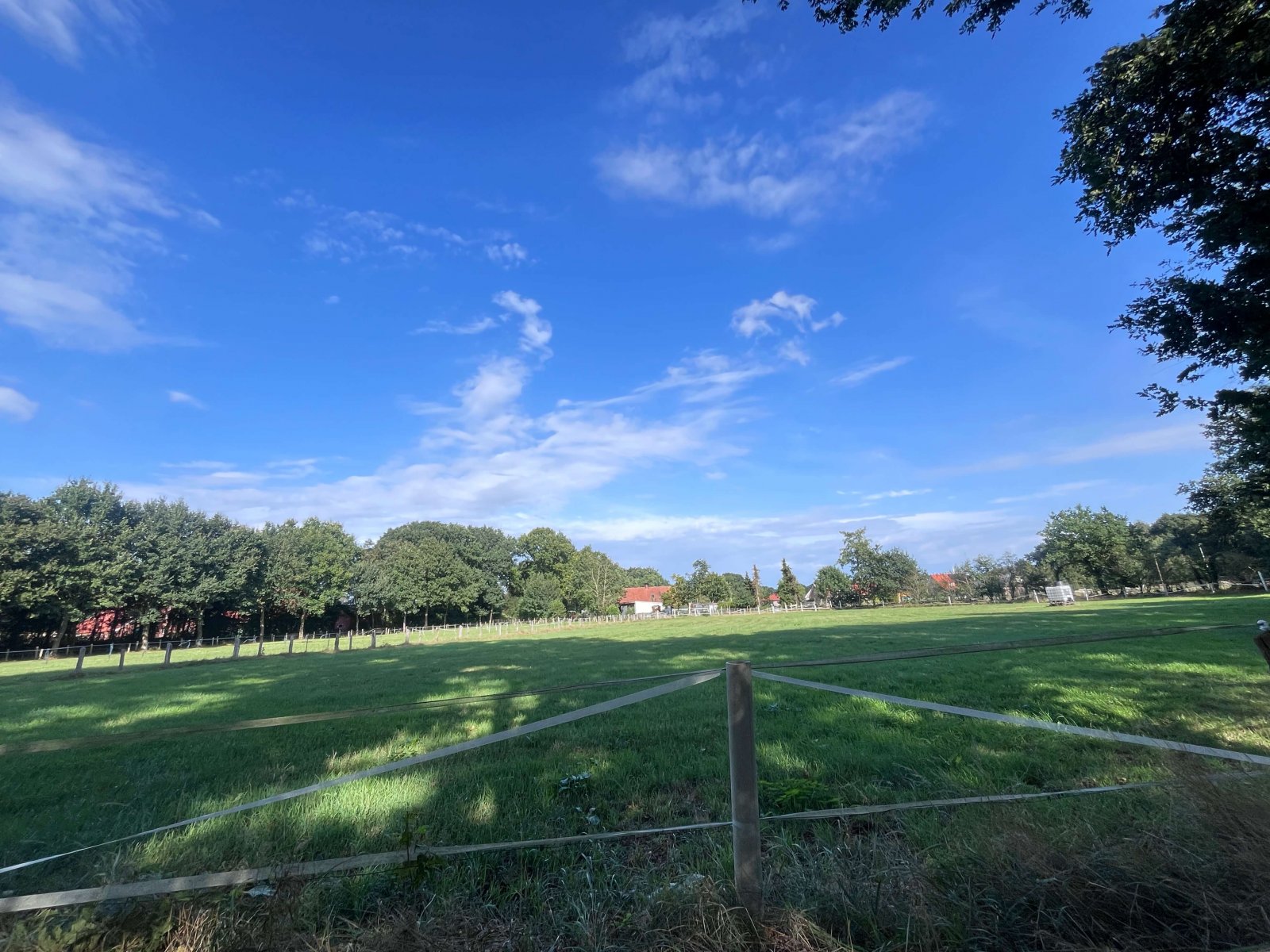 Großes Grundstück 6479 m²