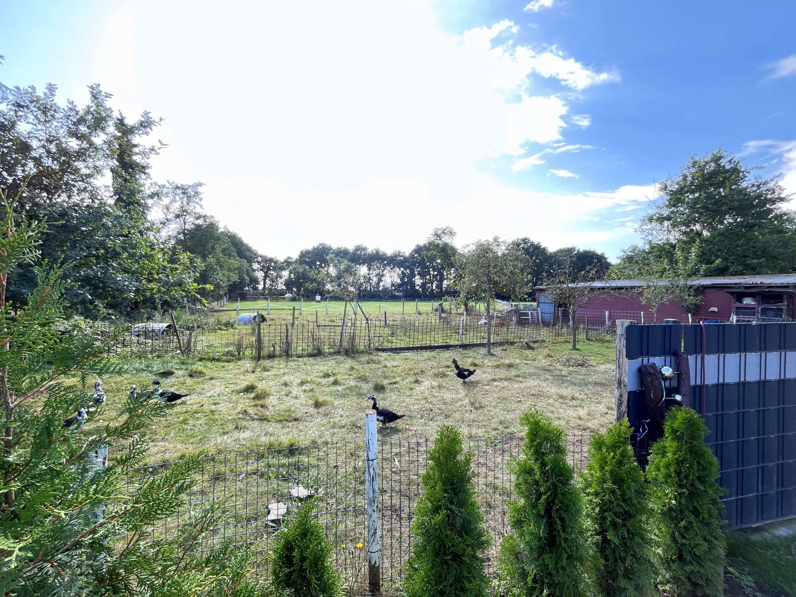 Tierhaltung möglich