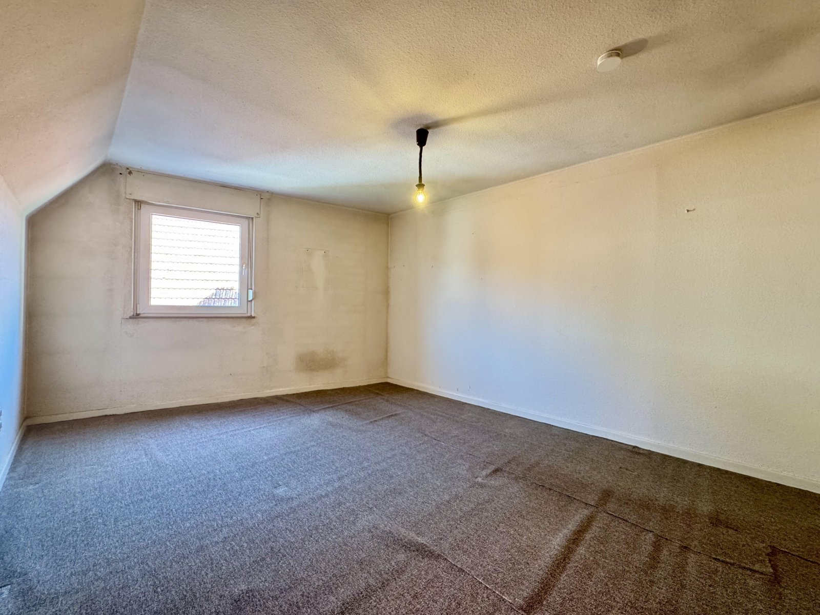 Einliegerwohnung Zimmer 2