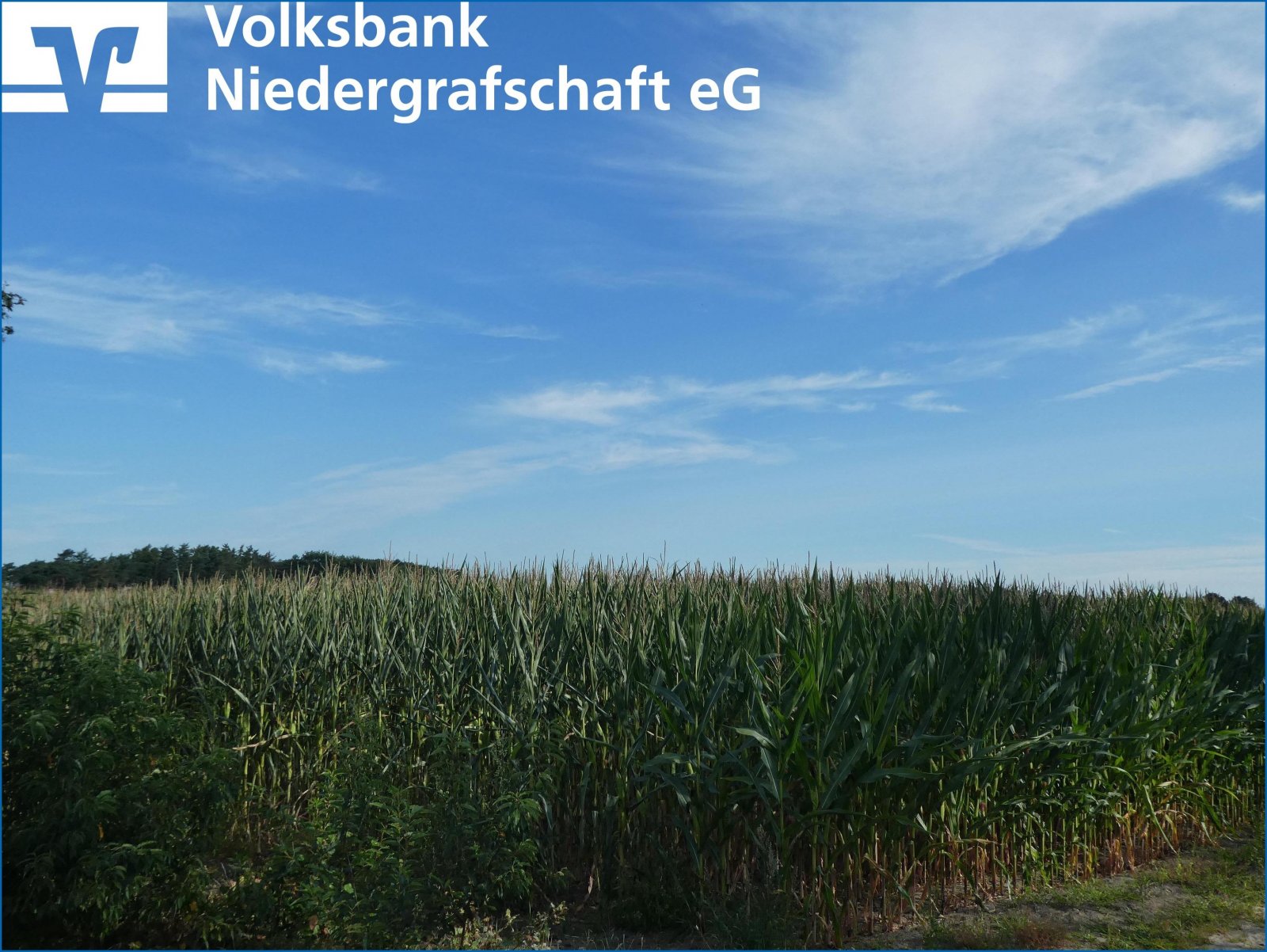Landwirtschaftliche Fläche