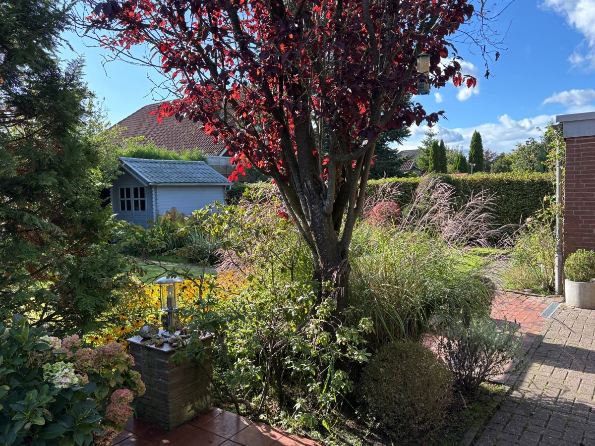 herbstliches Farbspiel