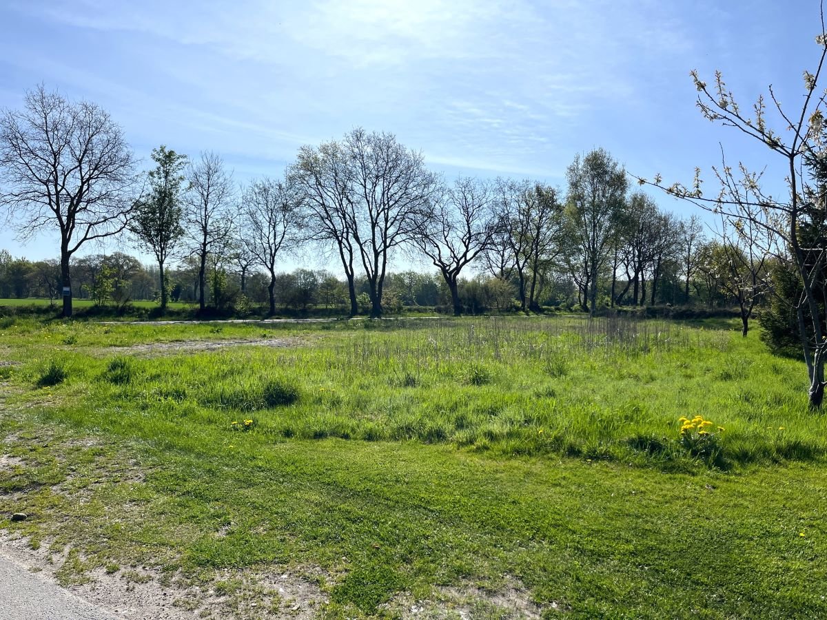 sonnige Ausrichtung