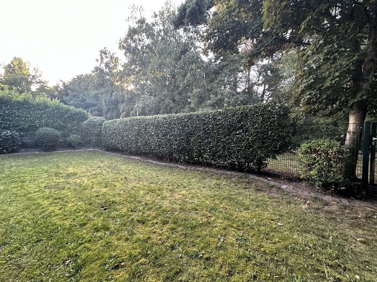 Garten hinten