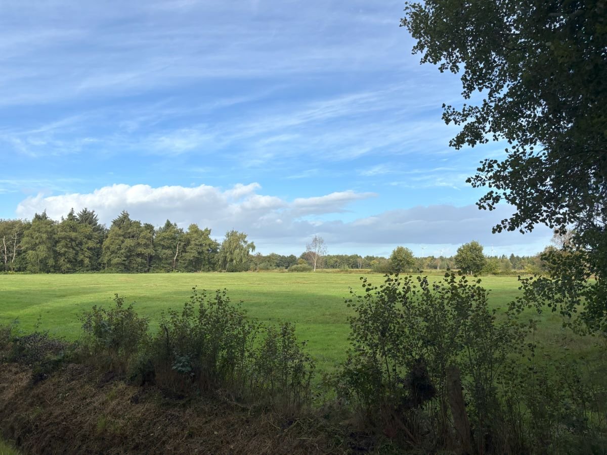 Blick in die Ferne