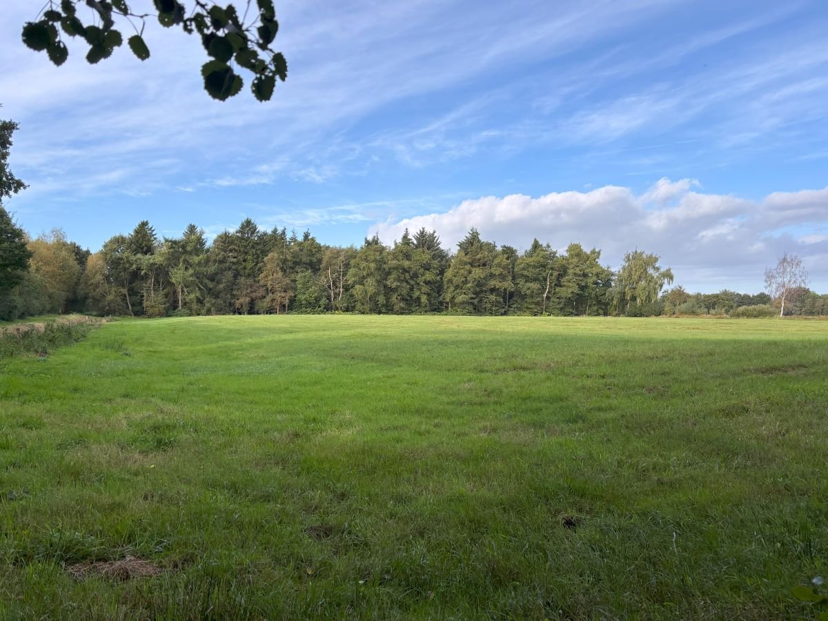 Weideland