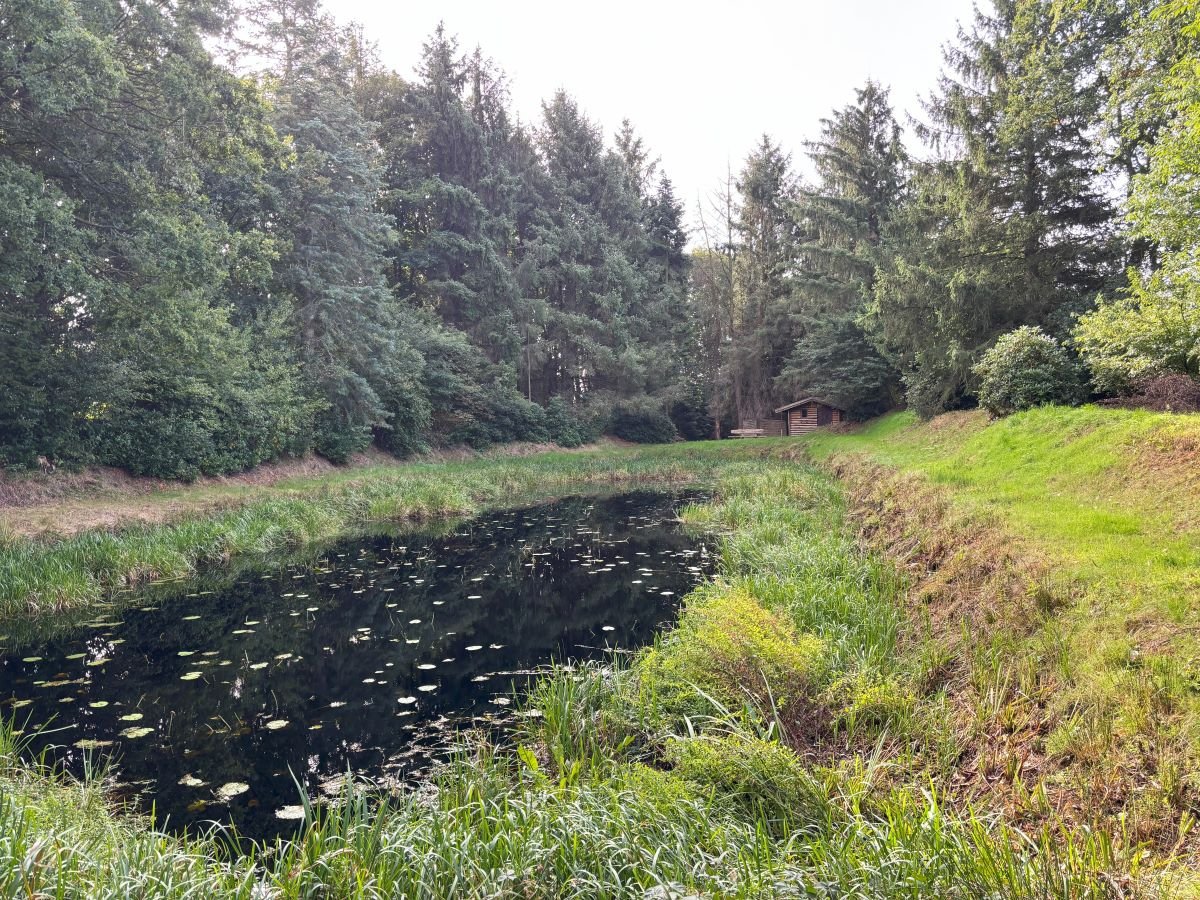 Blick auf die Holzhütte und den Teich