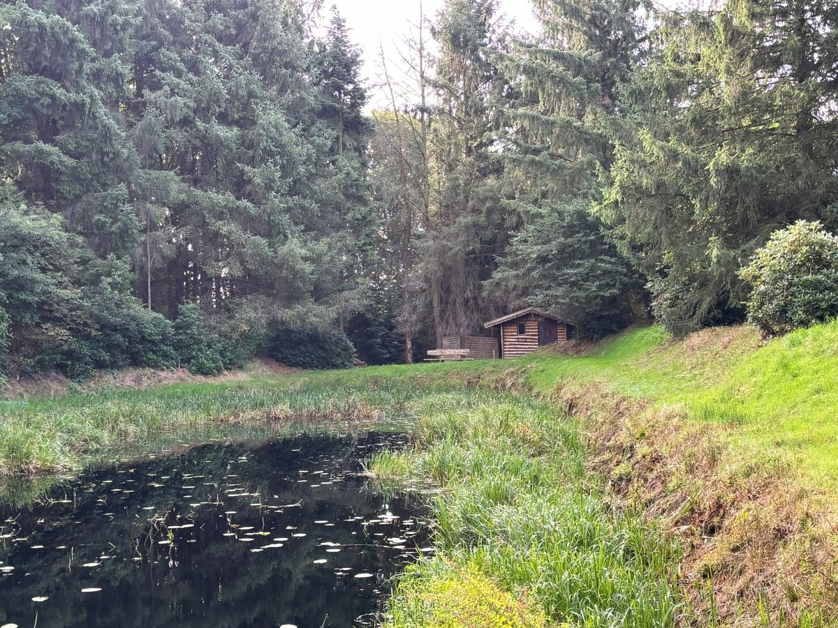 Blick auf die Holzhütte