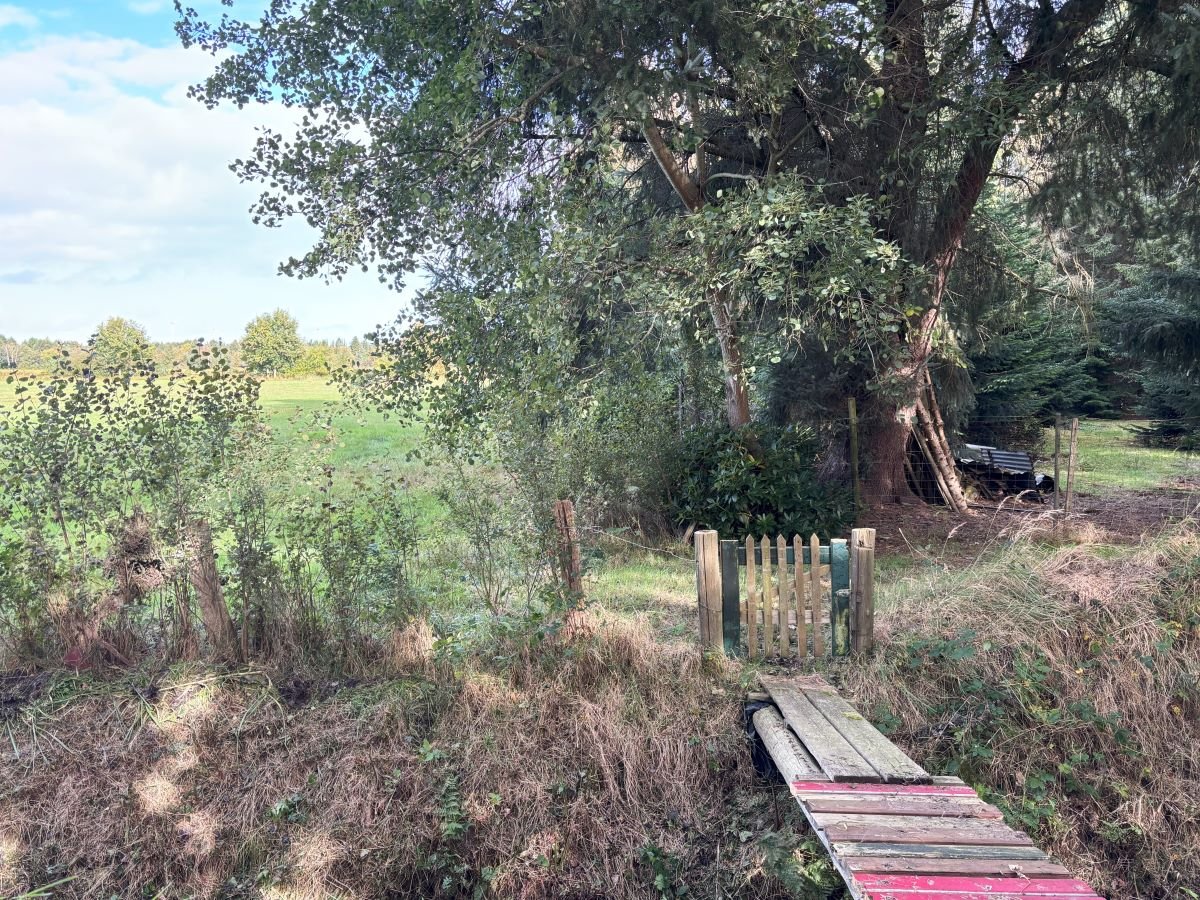 Zugang zum Waldstück