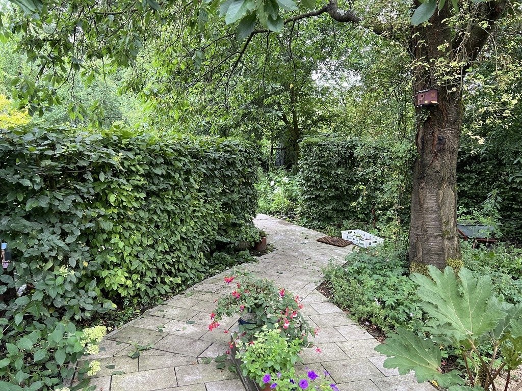 Zugang in den hinteren Garten Zugang in den hinteren Garten