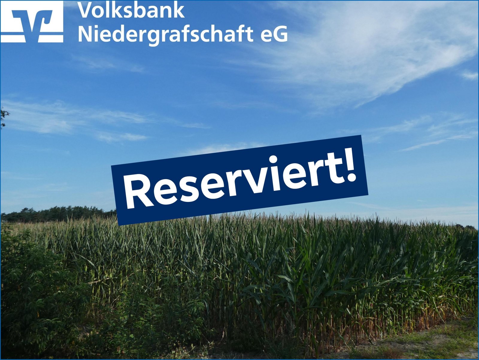 Landwirtschaftliche Fläche