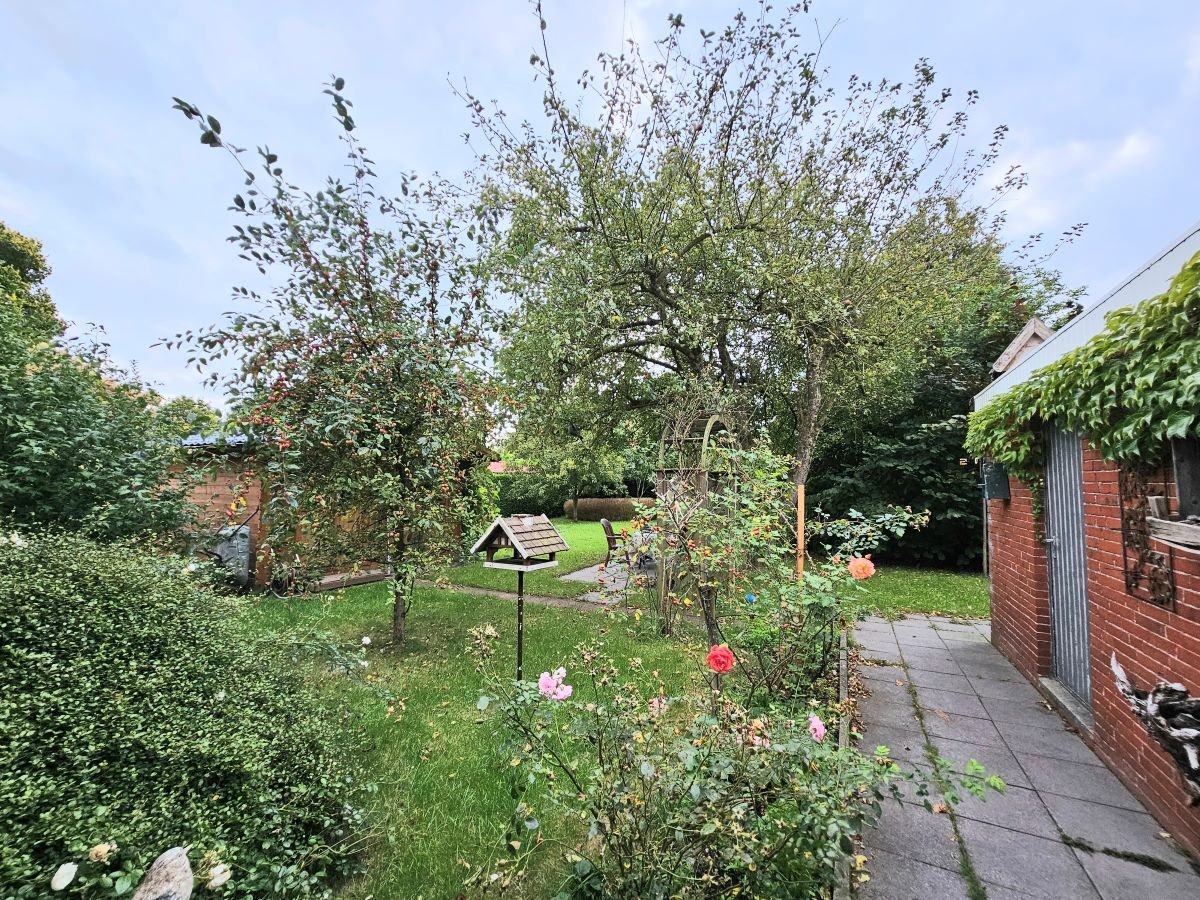 Blick in den Garten 