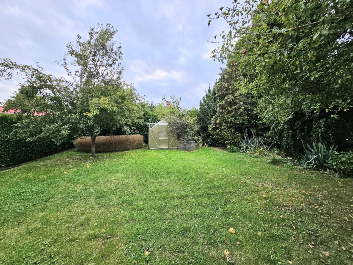 Blick in den Garten 