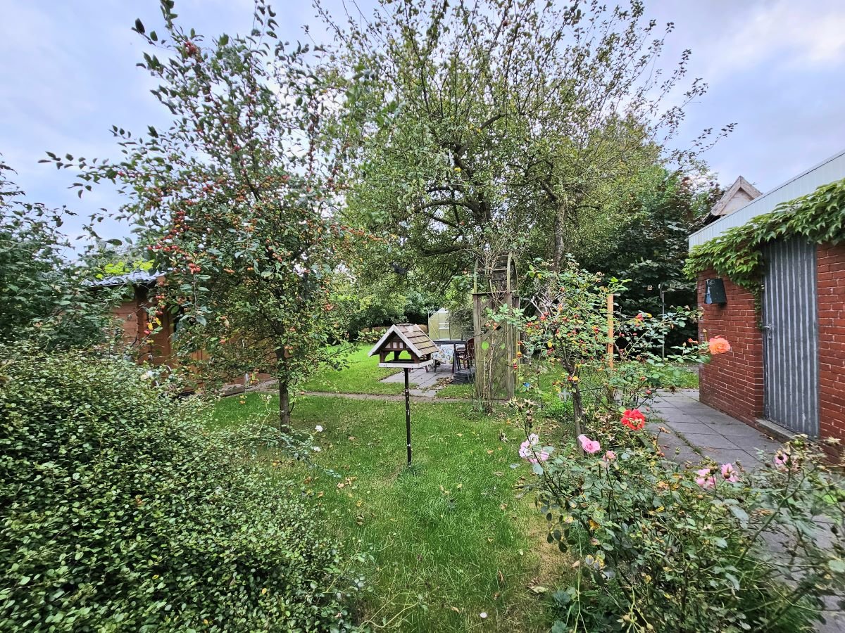 Blick in den Garten 