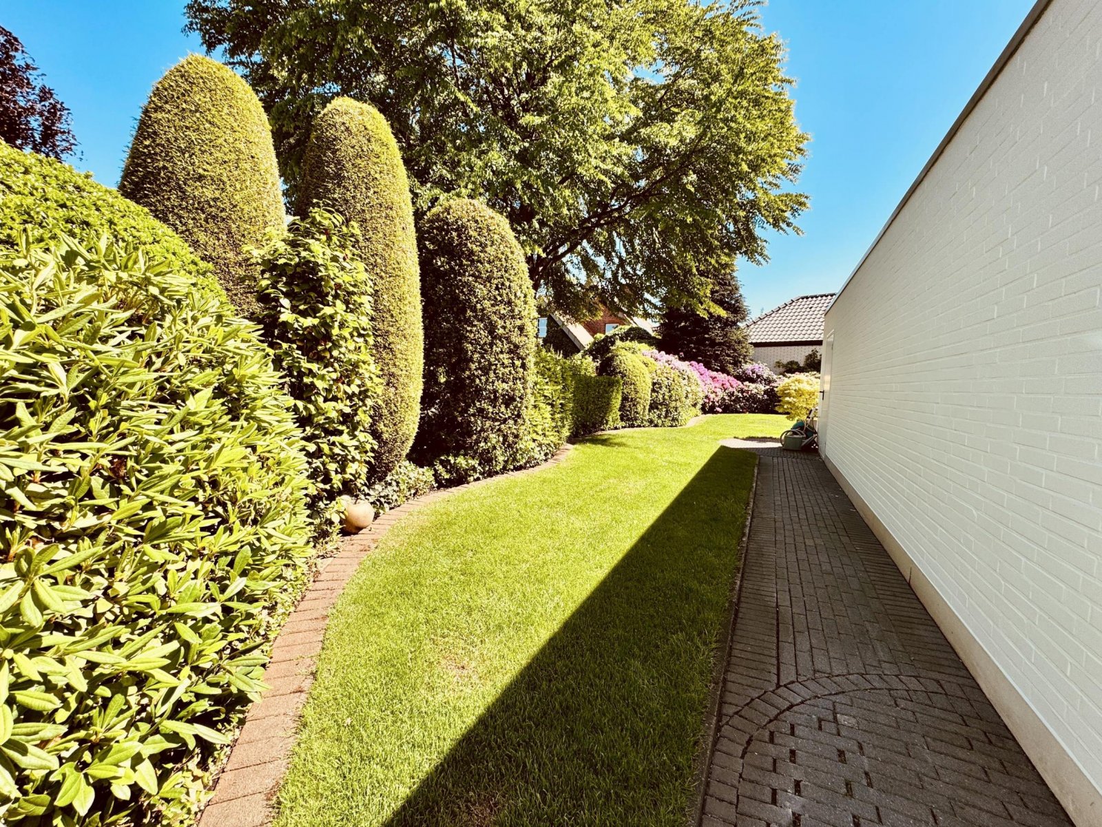 Garten-Rückseite Garten-Rückseite