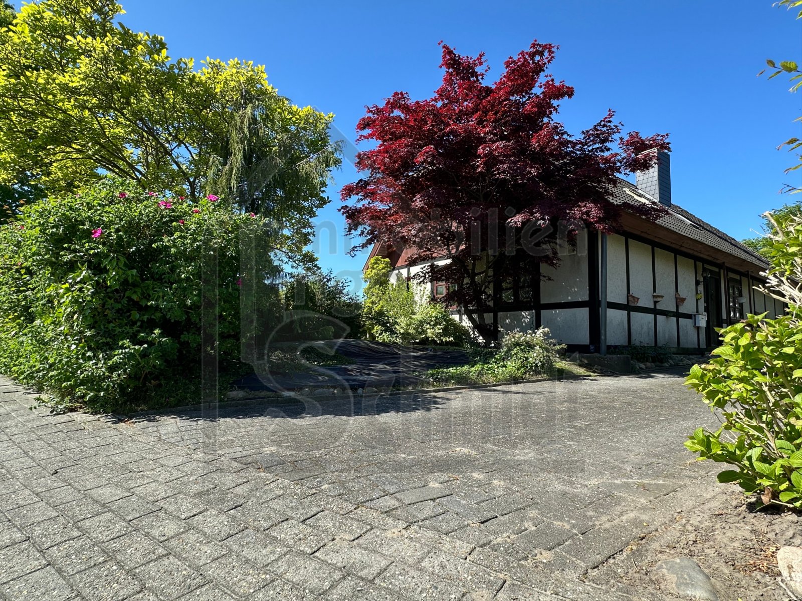 Hauptansicht Hauptansicht