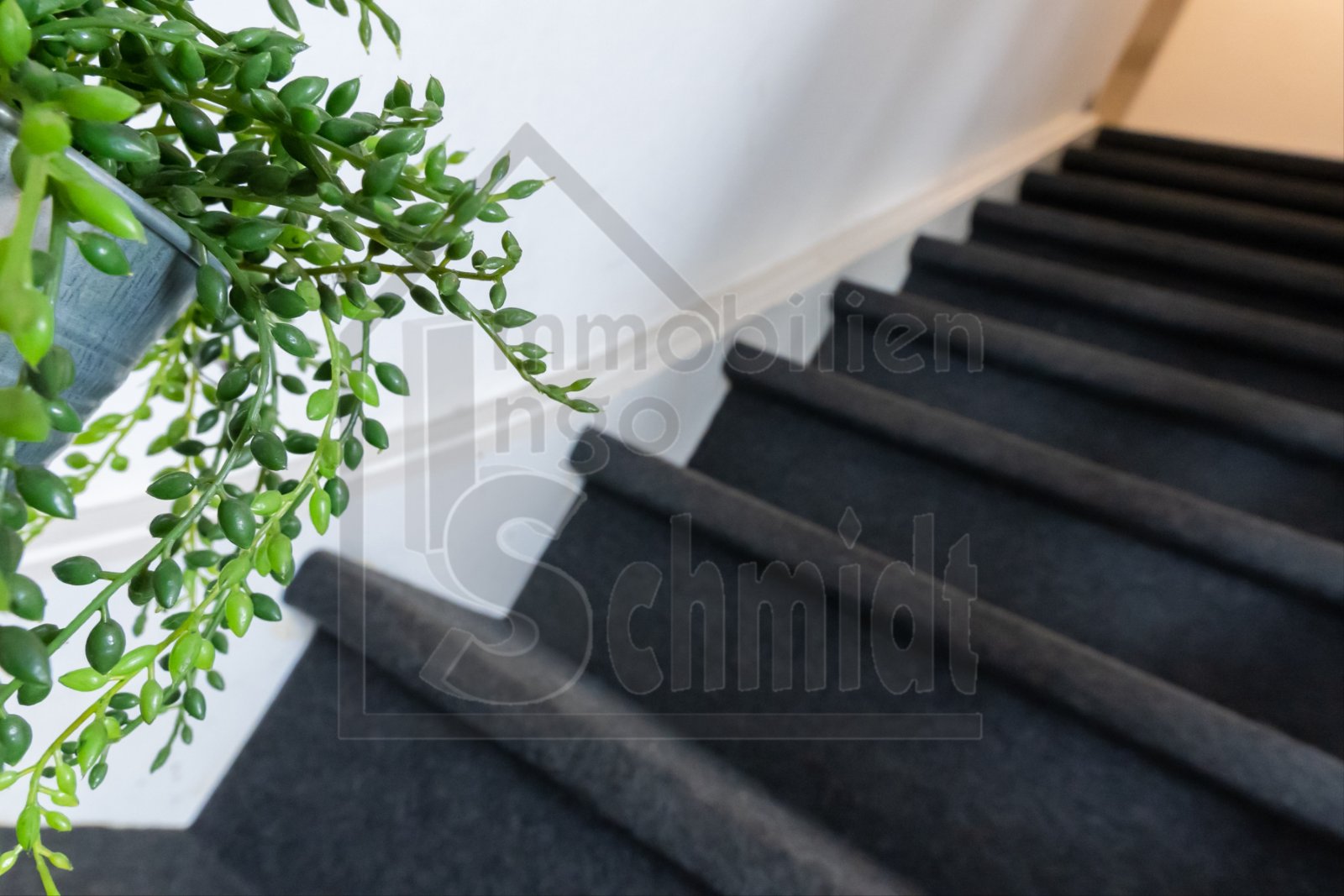 Treppenaufgang Treppenaufgang