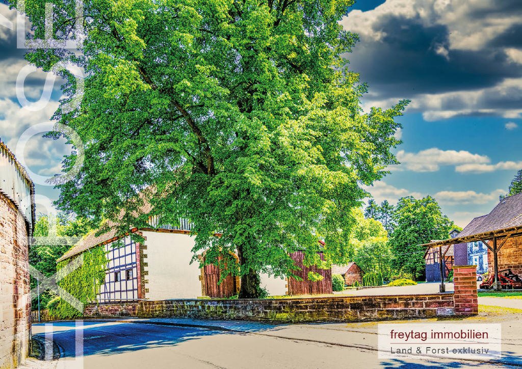 Oelkassen: Weserbergland: Herrlicher Landsitz wie aus dem Bilderbuch Oelkassen: Weserbergland: Herrlicher Landsitz wie aus dem Bilderbuch