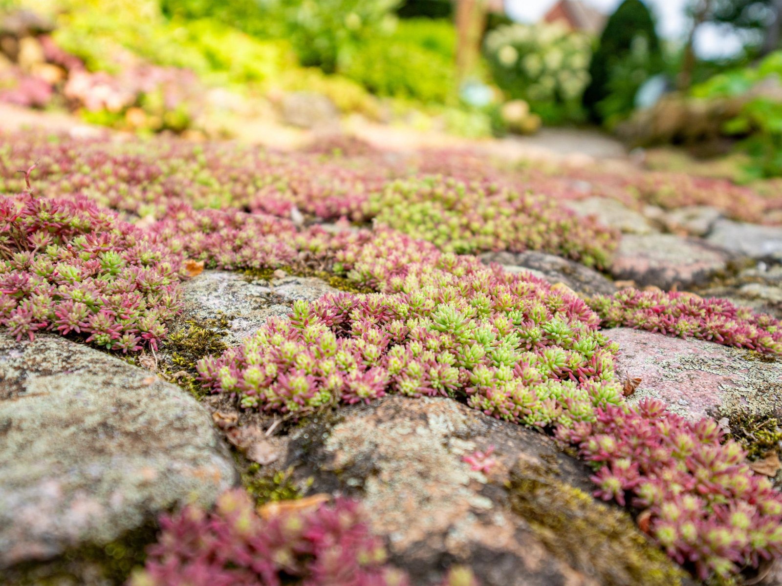 Aussenansicht Aussenansicht