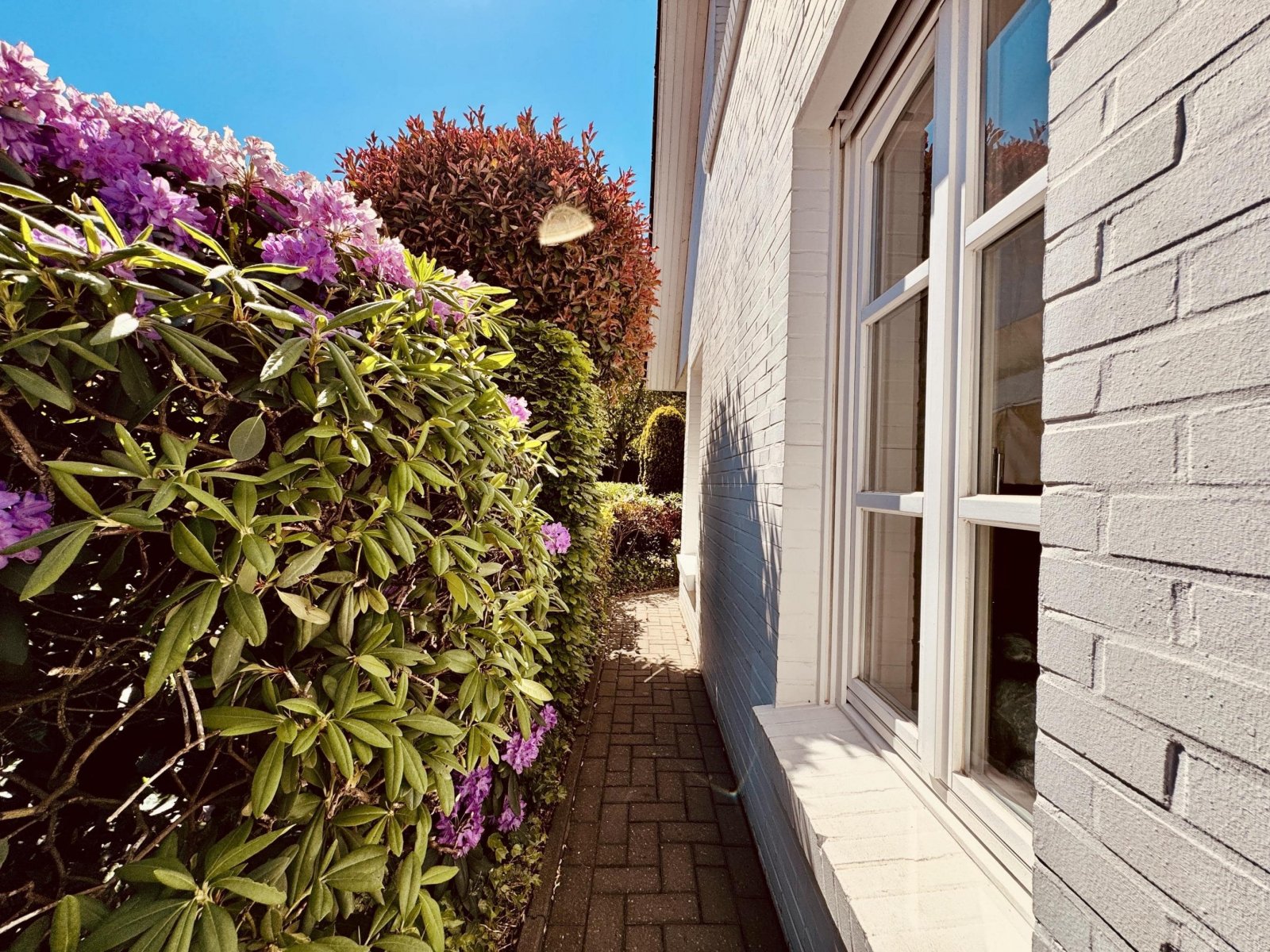 Seitenansicht Seitenansicht