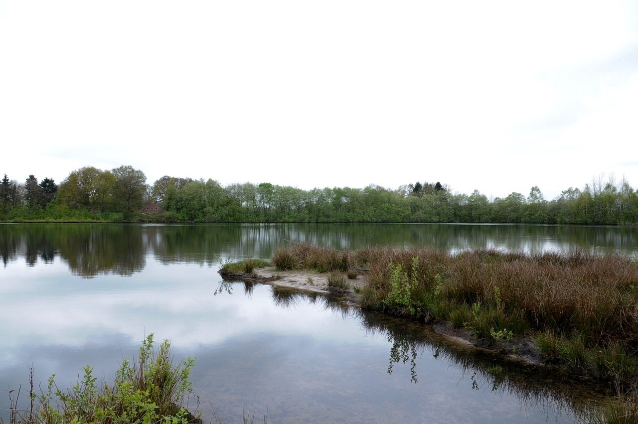 See Westerstede - 1 (2).jpg