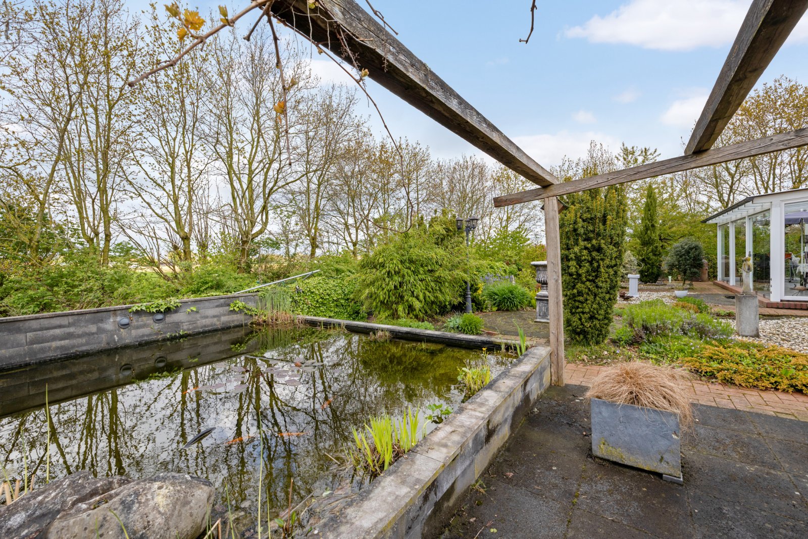 Gartenteich Gartenteich