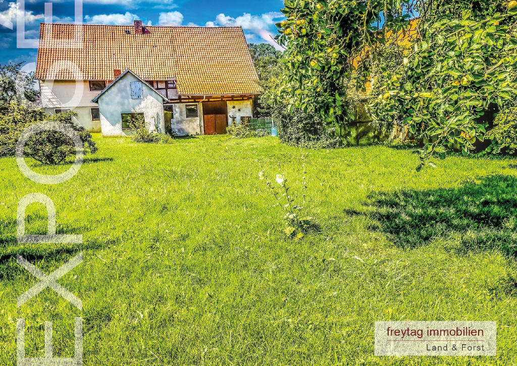 Spanbeck: Ganz nah draußen im Grünen 