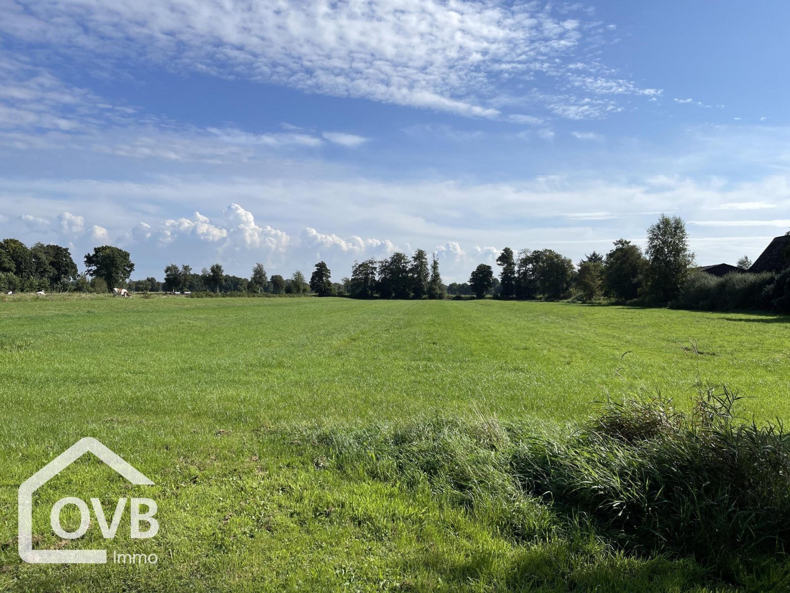 anliegendes Weideland anliegendes Weideland