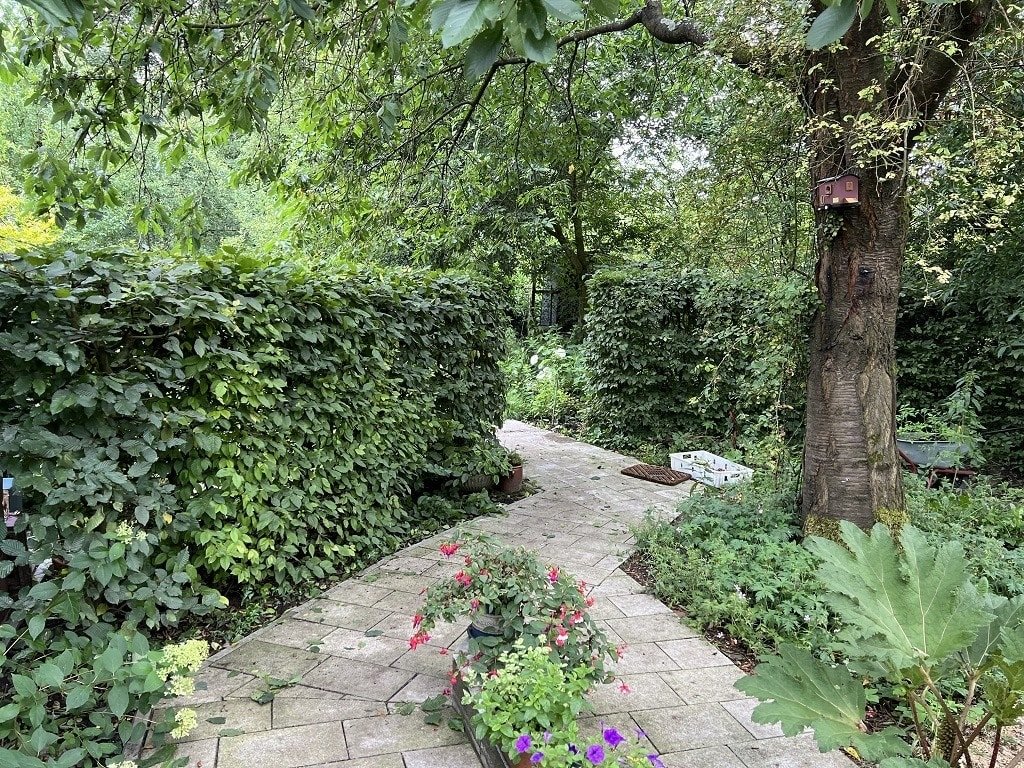 Zugang in den hinteren Garten