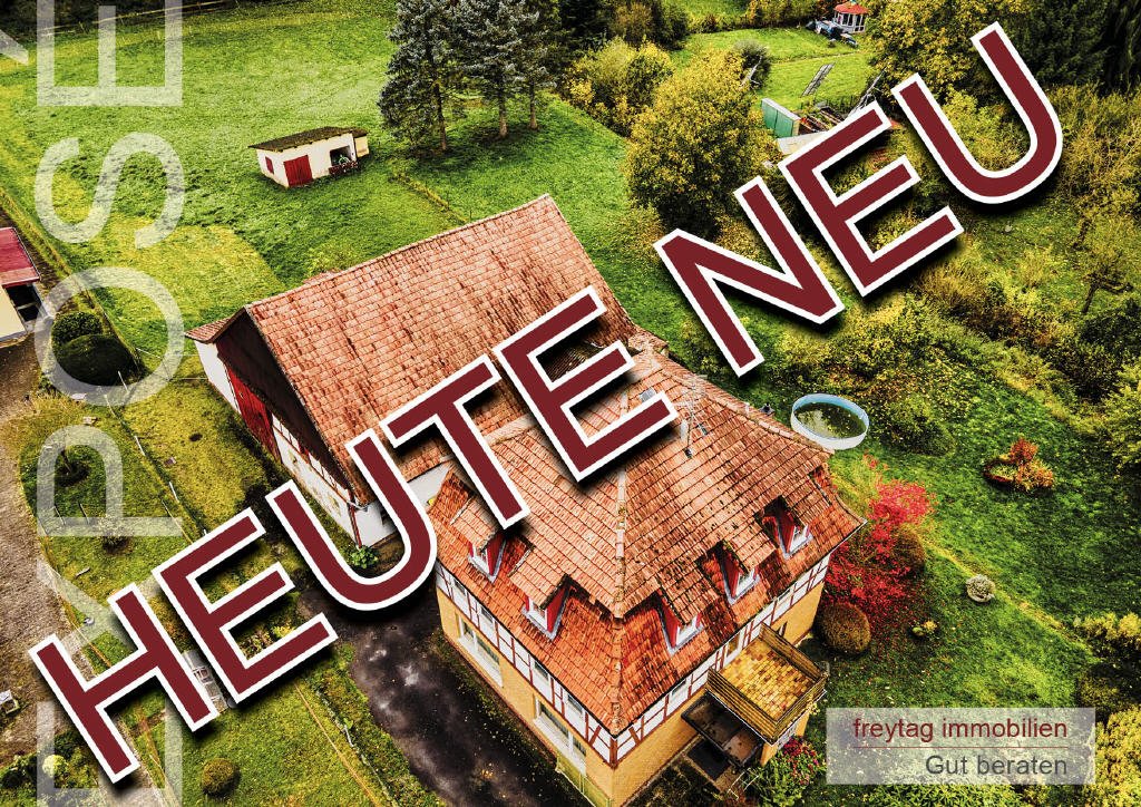 Adelebsen: 5.400 m2 Grünes Refugium am Ufer der Schwülme 