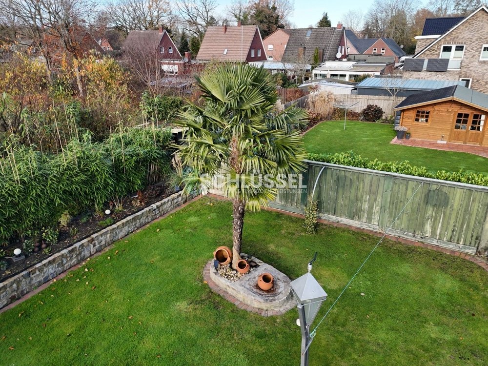 auch im Garten eine Palme