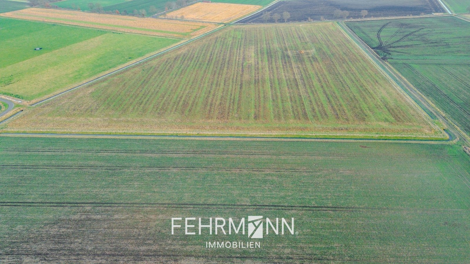 Luftaufnahme-Großefläche-01