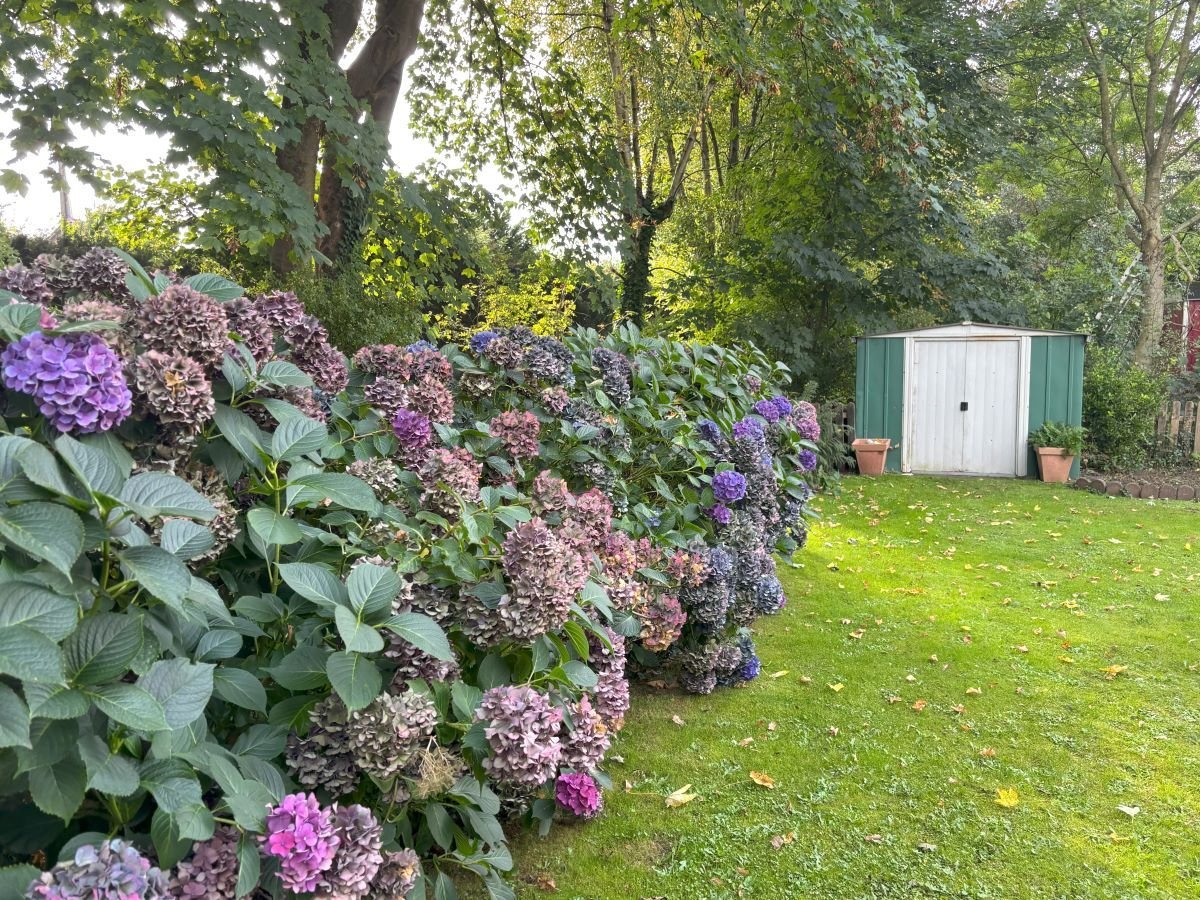 praktischer Geräteschuppen