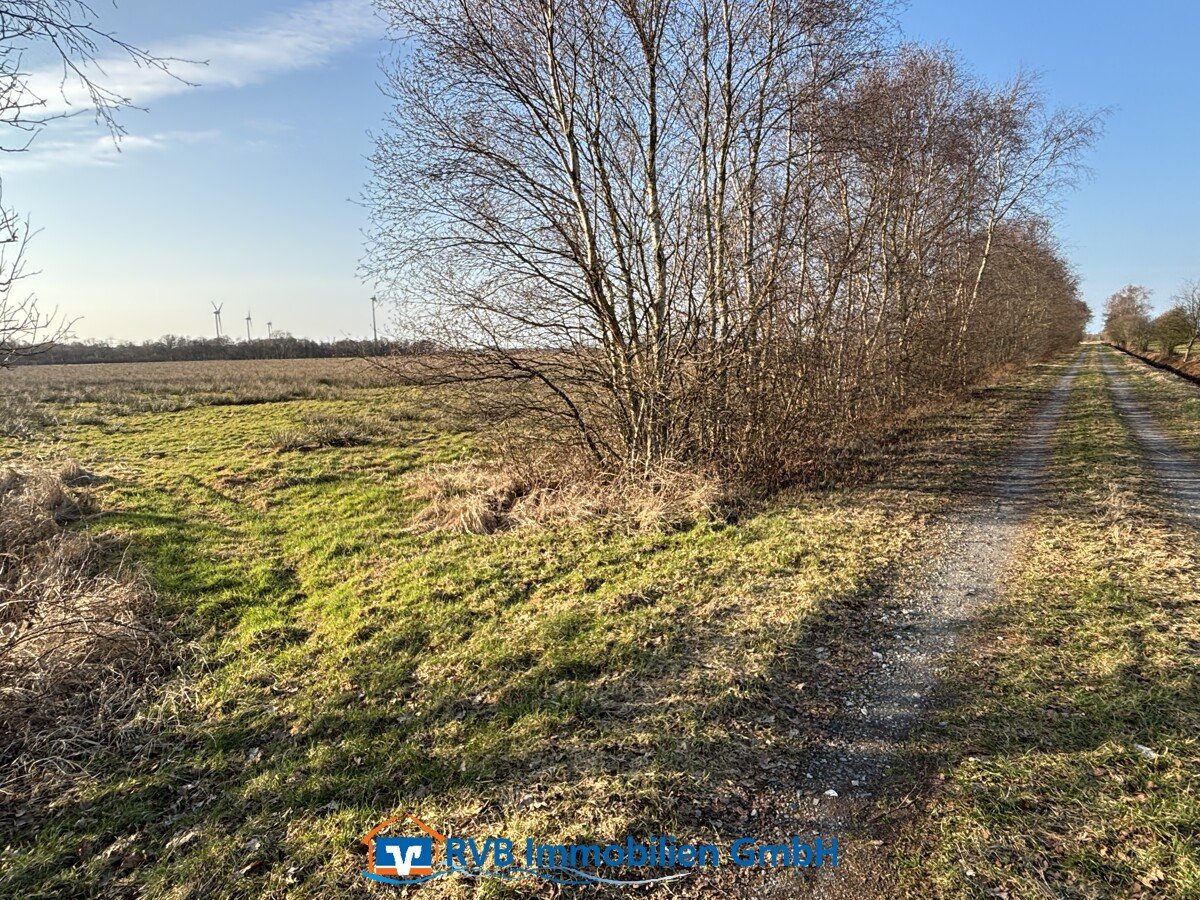 Uplengen: Grünlandfläche (GNA) mit guter Zuwegung Uplengen: Grünlandfläche (GNA) mit guter Zuwegung