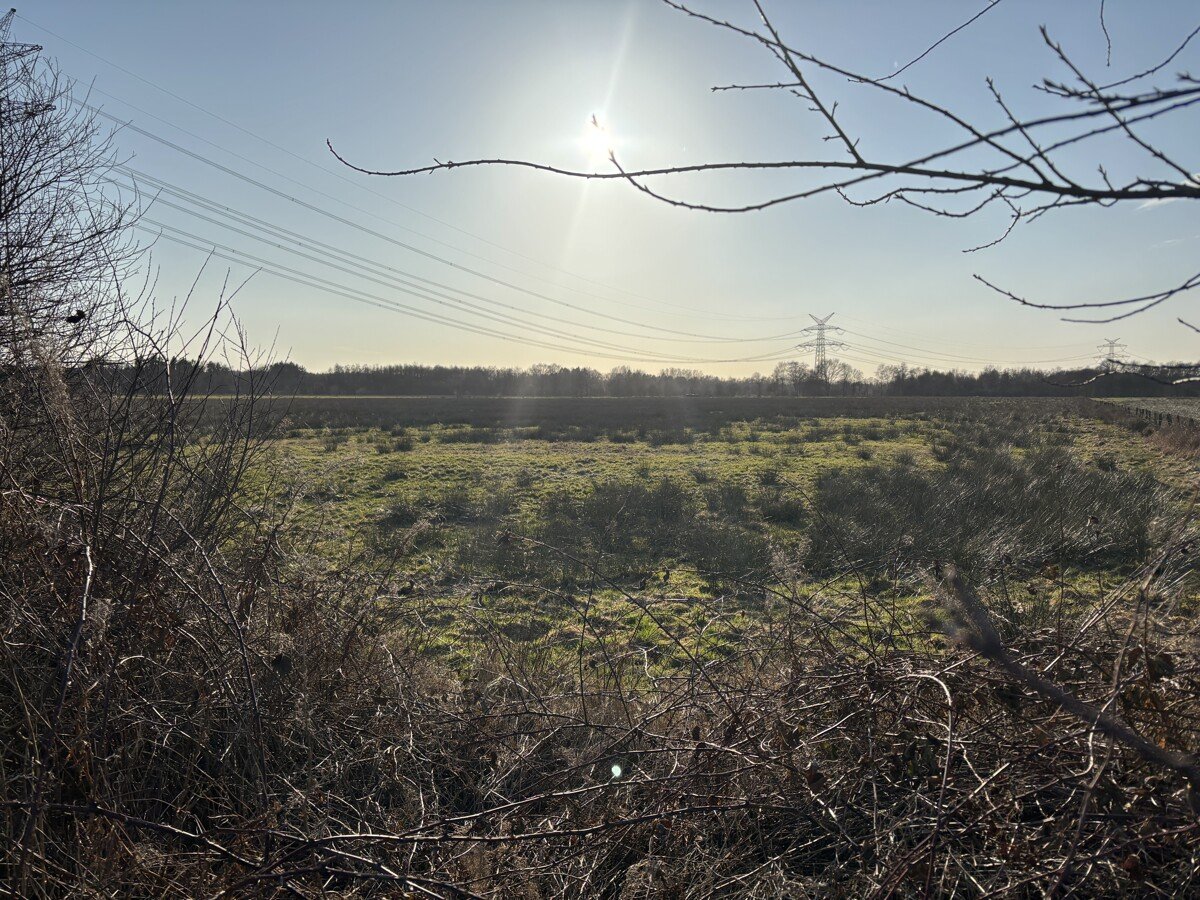 Umgeben von Wiesen und Feldern