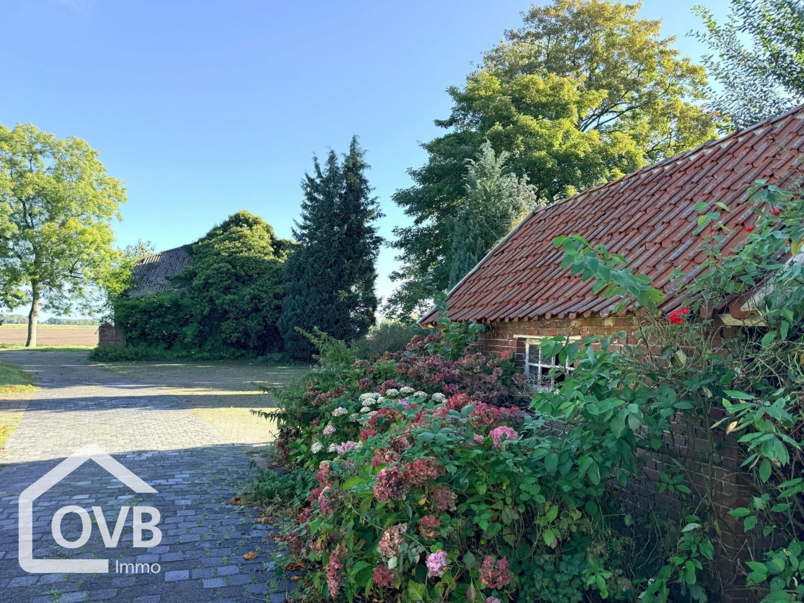 Blick Richtung Felder mit Nebengebäude und Scheune im Hintergrund