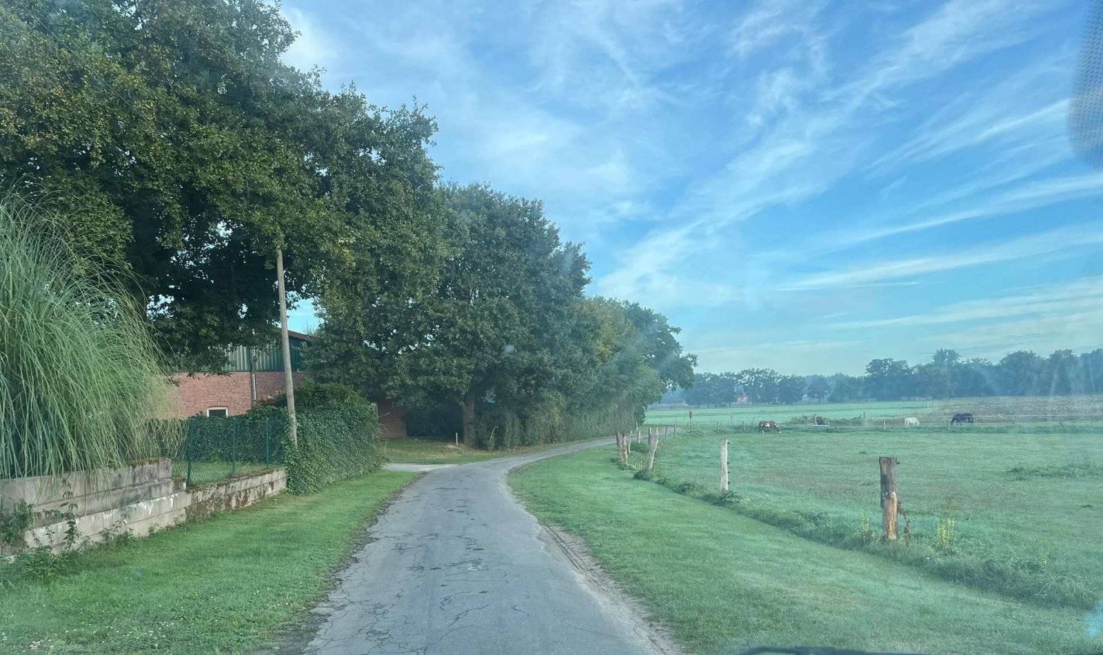 Lage in grüner Natur