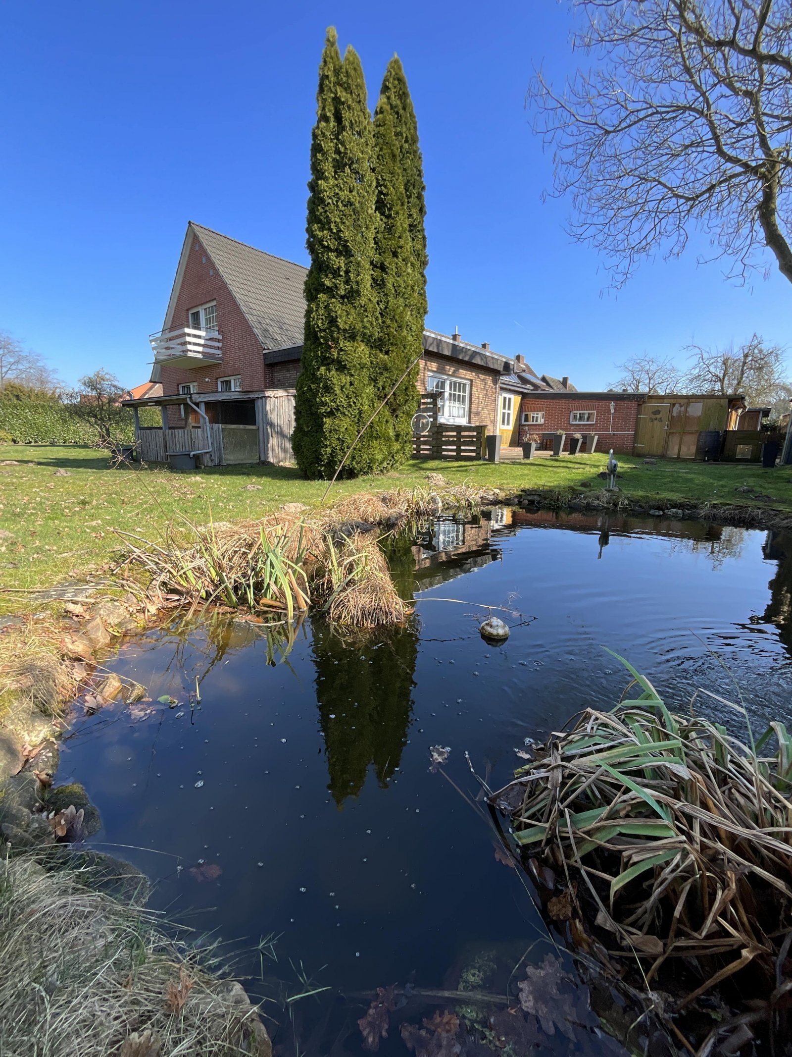 Garten mit Fischteich