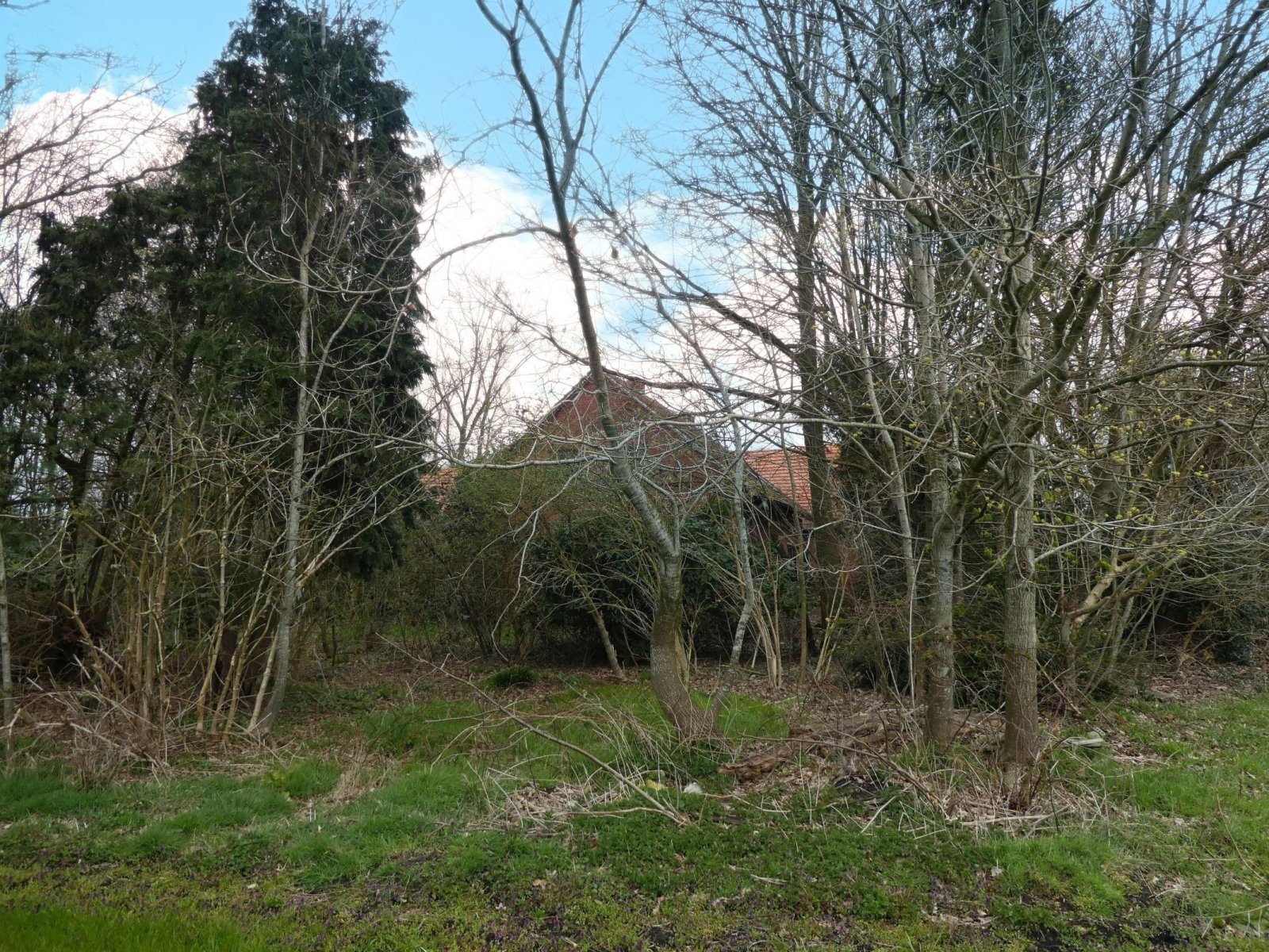 Giebelseite Wohnteil