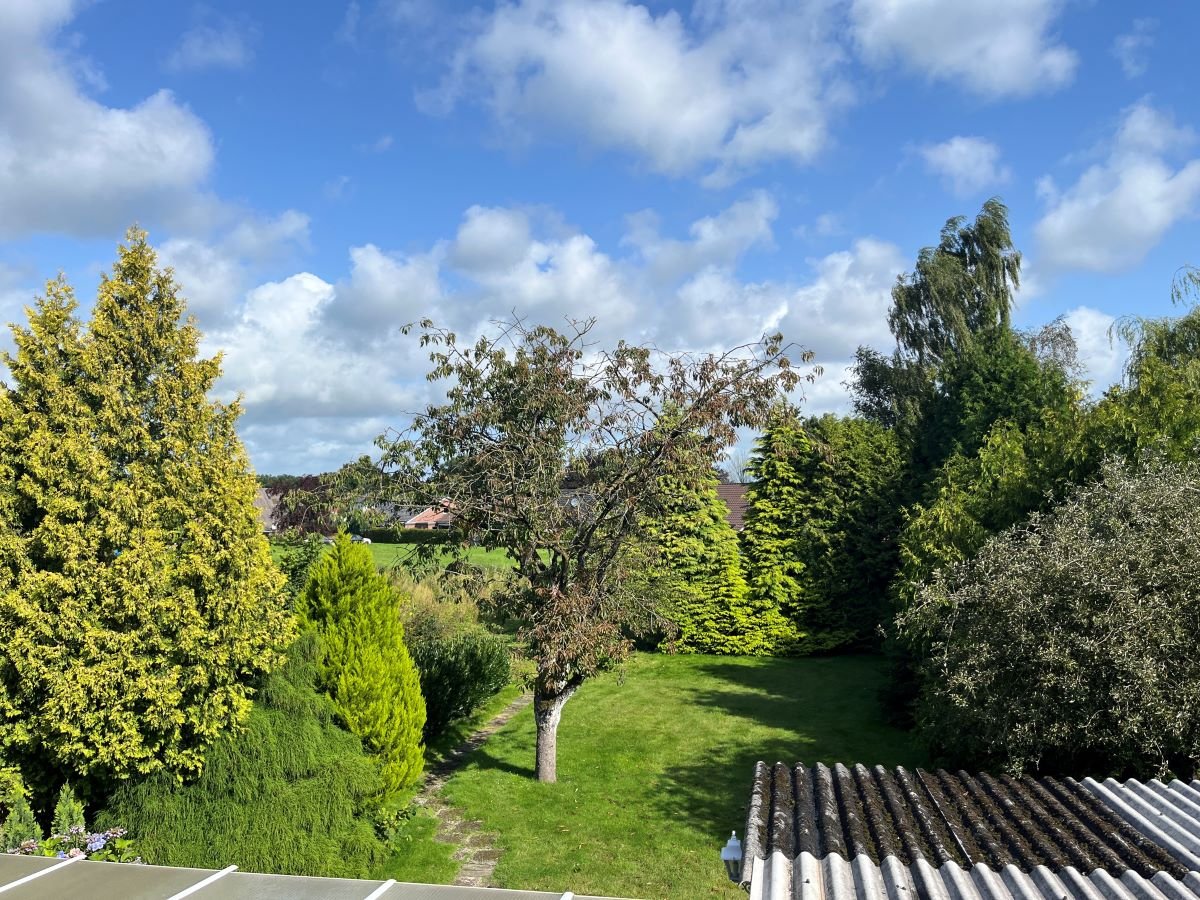 Blick in den Garten