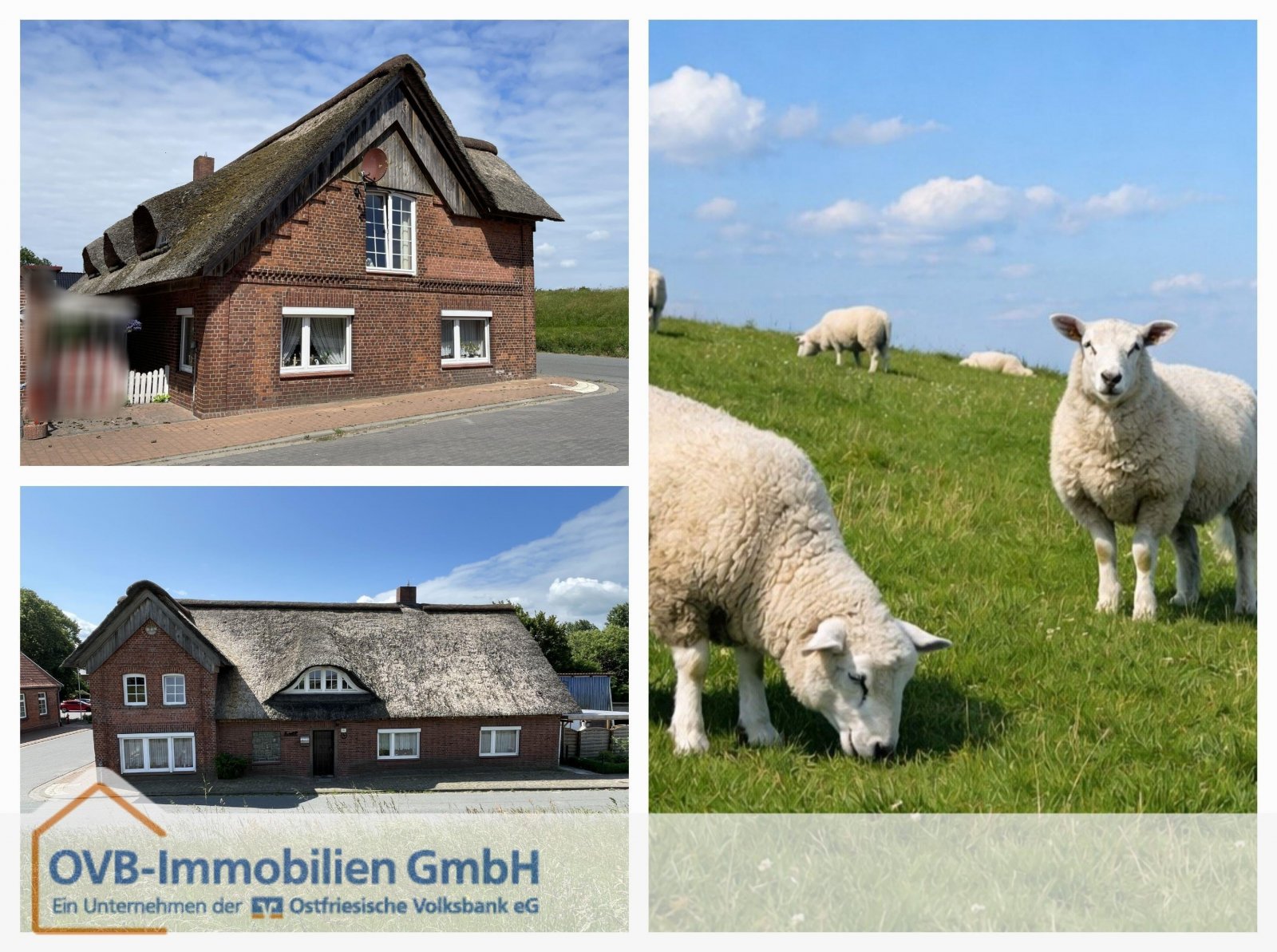 Balje: Wohnen, wo andere Urlaub machen! 