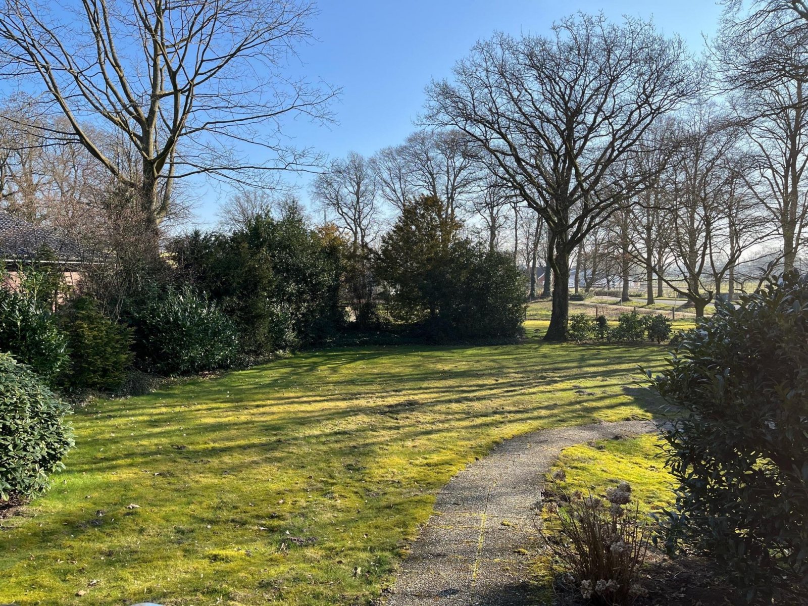 Blick in den hinteren Garten