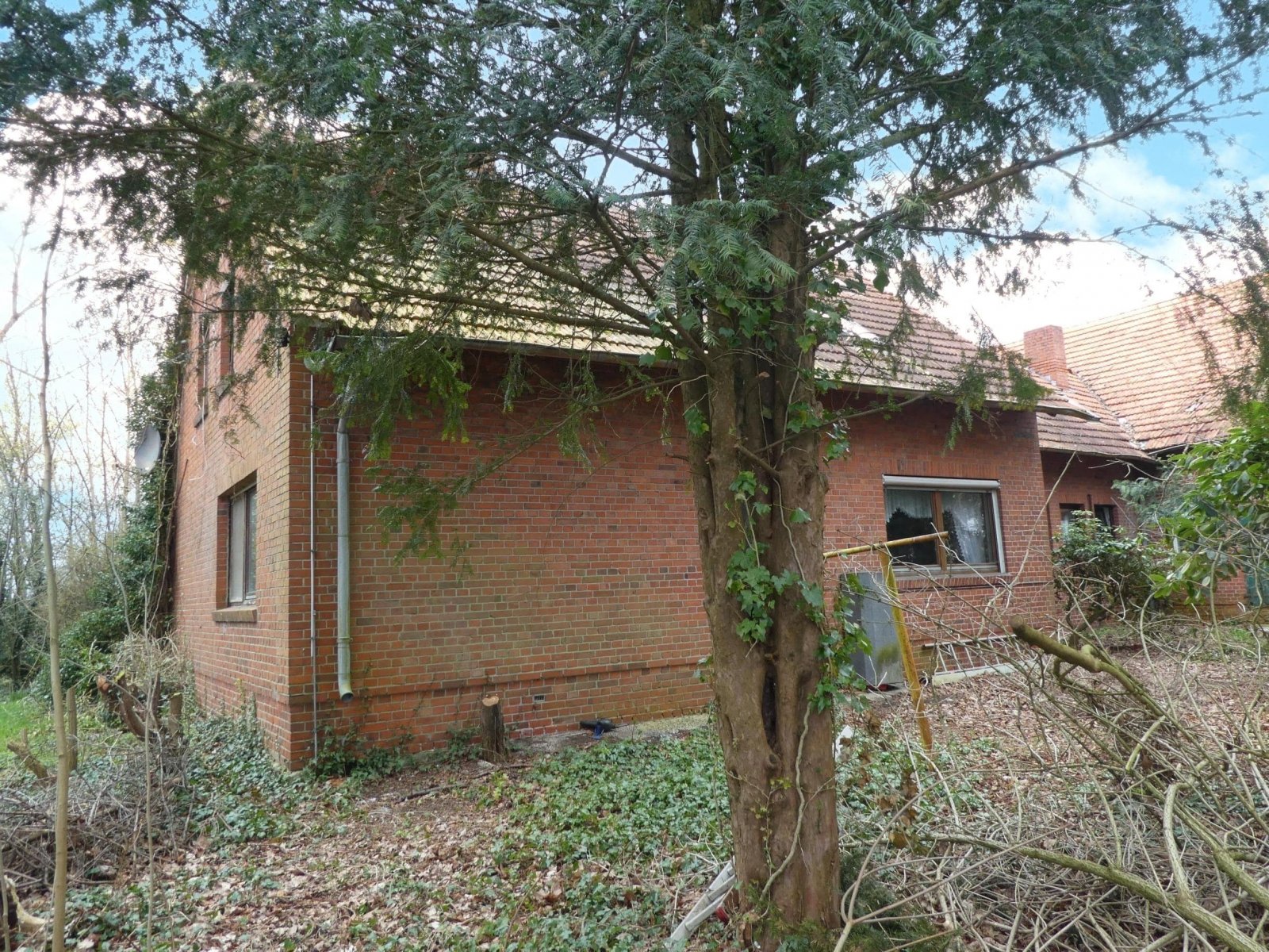 seitliche Ansicht Wohnteil