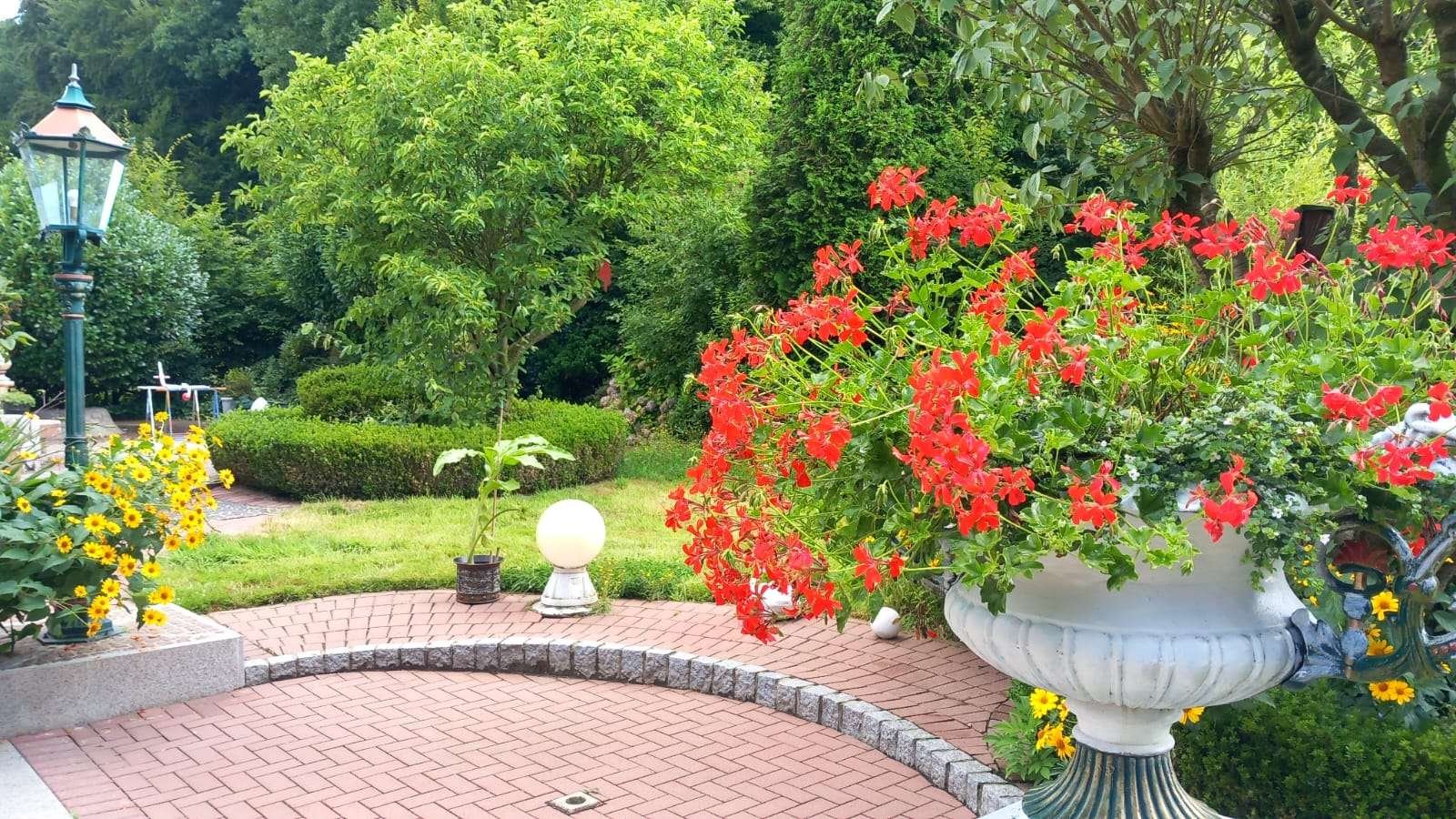 Garten von der Terasse