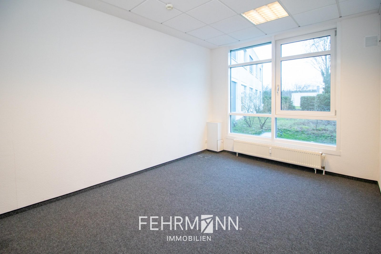 Büro-05