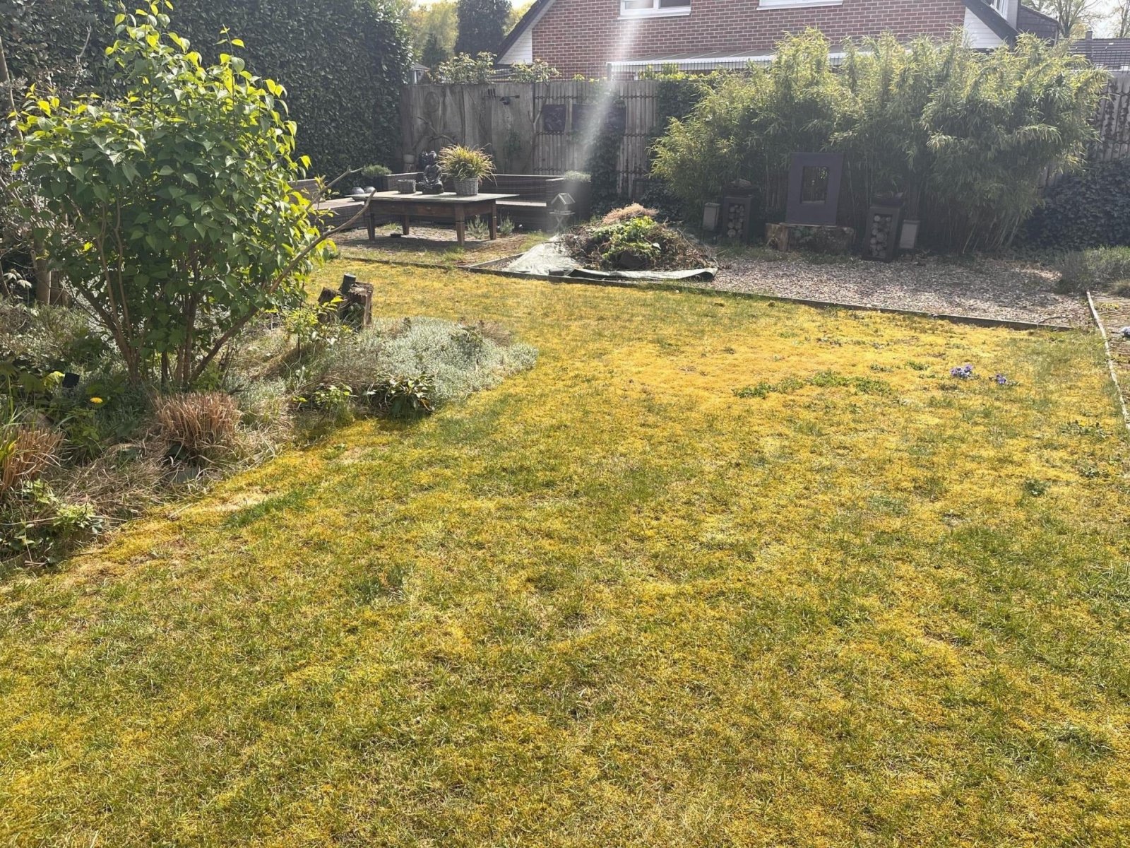 Garten Garten