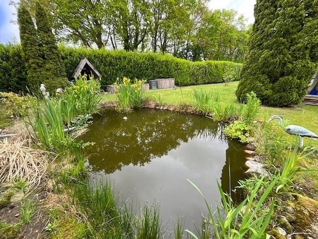 Garten mit Fischteich Garten mit Fischteich
